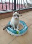 Billy (2)9